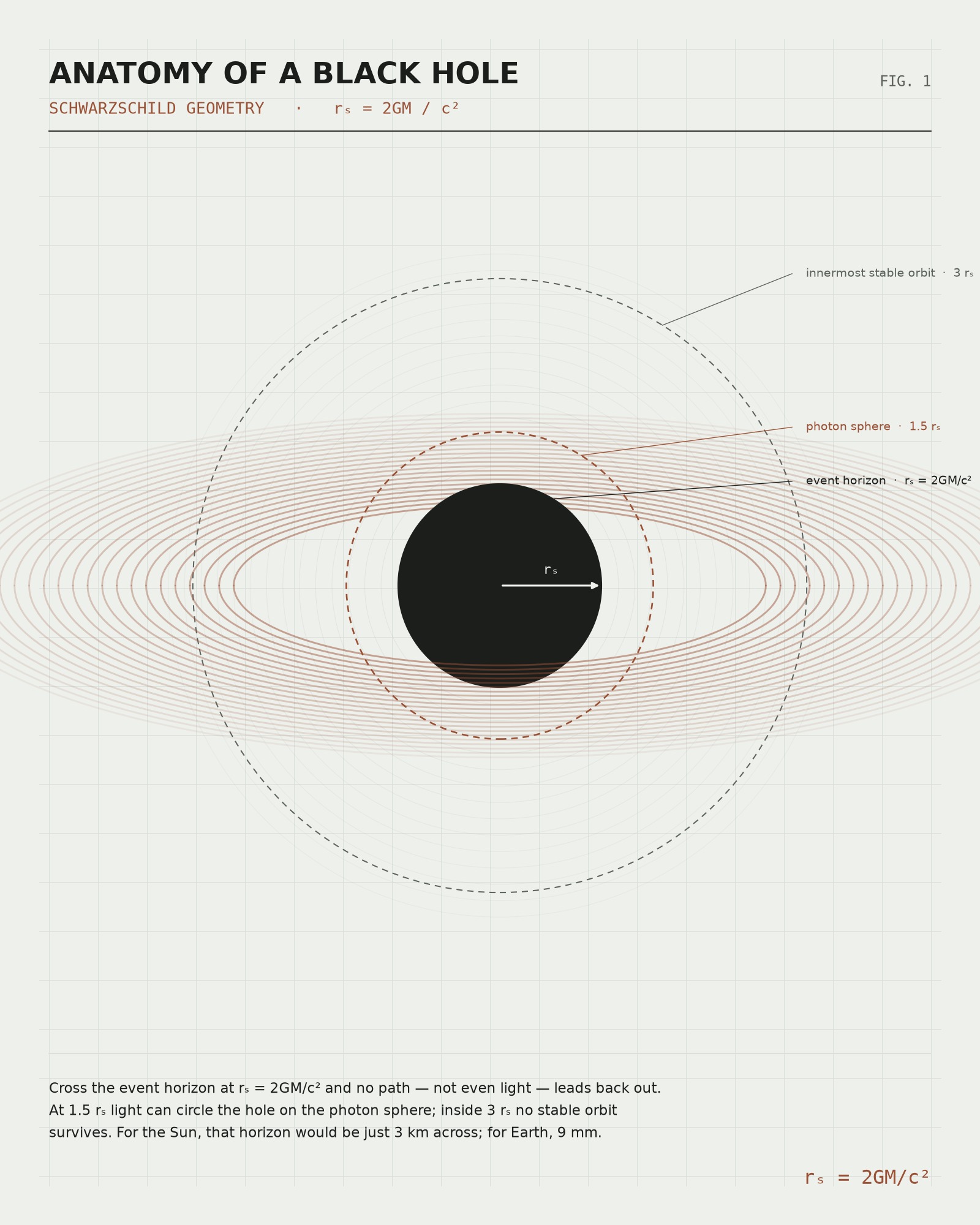 Anatomy of a Black Hole — Physics Plate Print