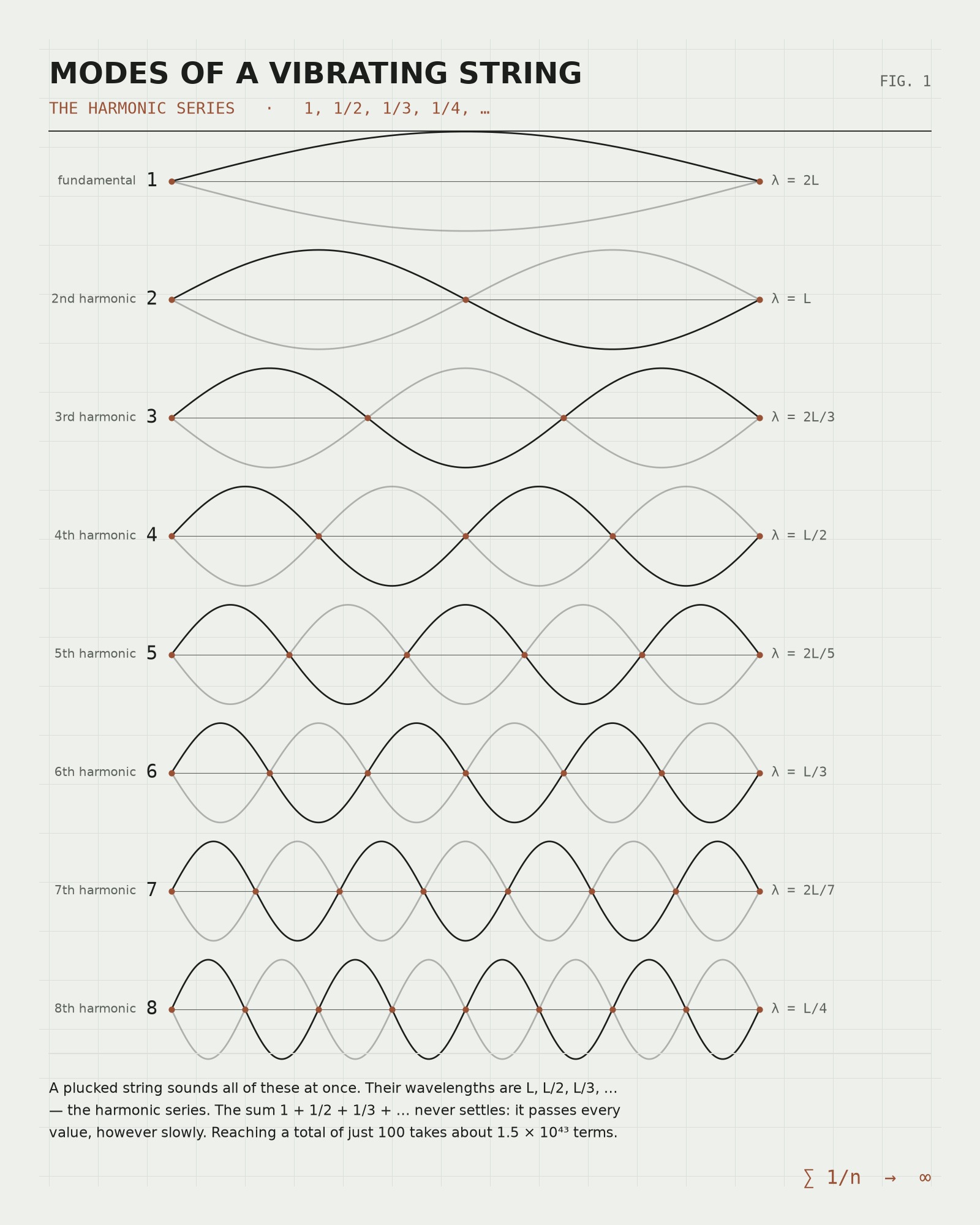 Vibrating String — Harmonic Series Plate Print