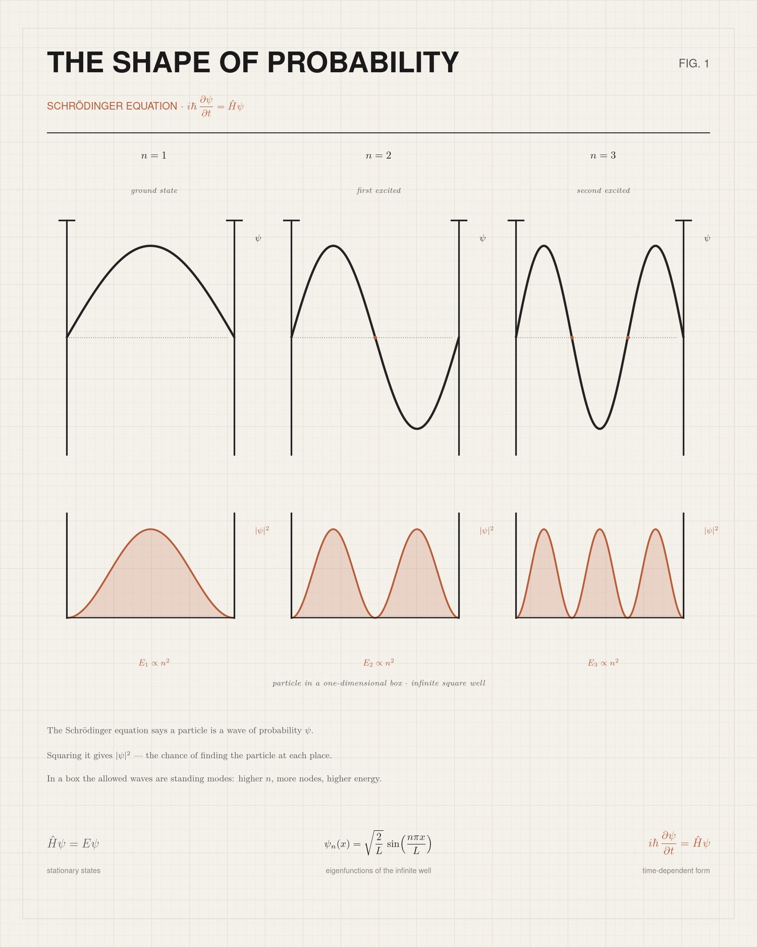 Schrödinger Equation Print — Quantum Mechanics Wall Art